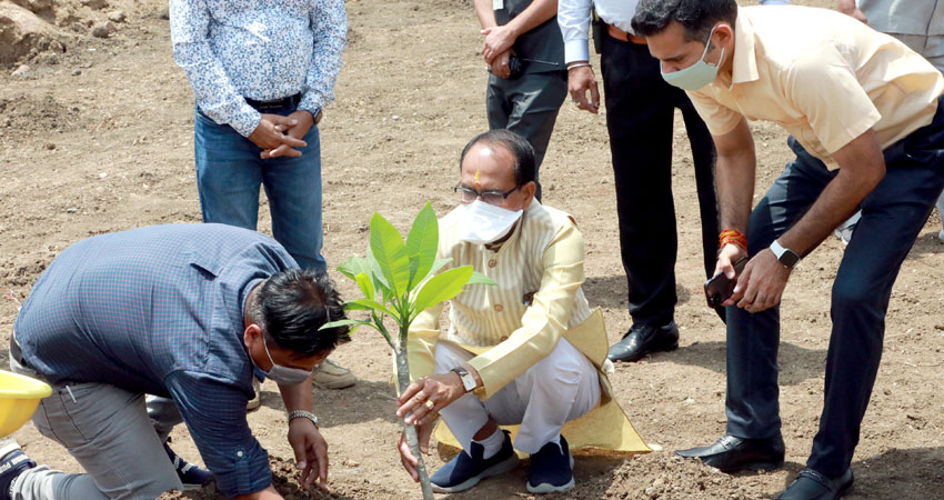 मुख्यमंत्री श्री चौहान ने रोपा चम्पा का पौधा